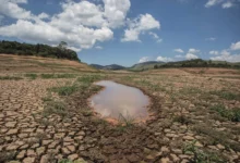 A seca é um fenômeno natural periódico no semiárido brasileiro - Foto: Reprodução