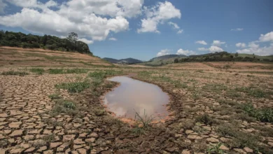 A seca é um fenômeno natural periódico no semiárido brasileiro - Foto: Reprodução