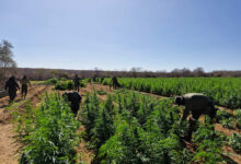 A propriedade está localizada na zona rural de Conceição do Canindé, na região de Picos - FOto: PMPI